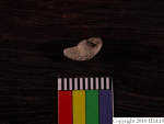 L_V23d8635 A16q814.5 U907 dM fg f309